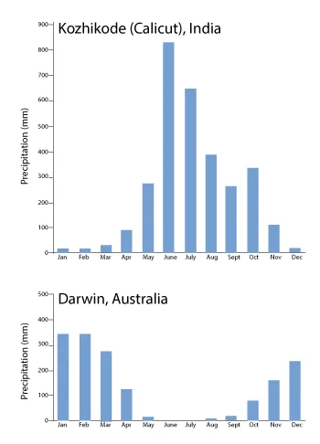 Bar charts demonstrating the amount of precipitation in Kozhikode (Calcutta), India and Darwin, Australia throughout the year.