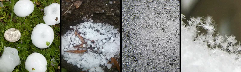 Forms of frozen precipitation. L-R: hail, graupel, sleet, snow