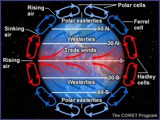 Diagram of convection currents in the Earth's atmosphere
