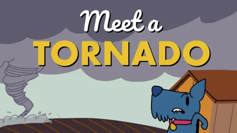 Meet a Tornado
