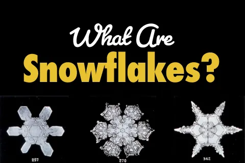 What Are Snowflakes?