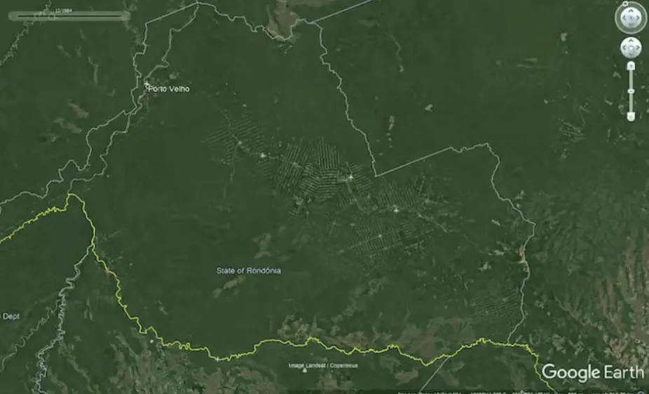 animation showing the loss of rainforest area in the Amazon between 1984 and 2016