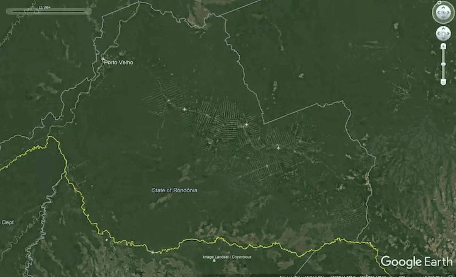 animation showing the loss of rainforest area in the Amazon between 1984 and 2016