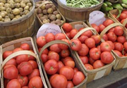 fresh tomatoes at a farmer's market