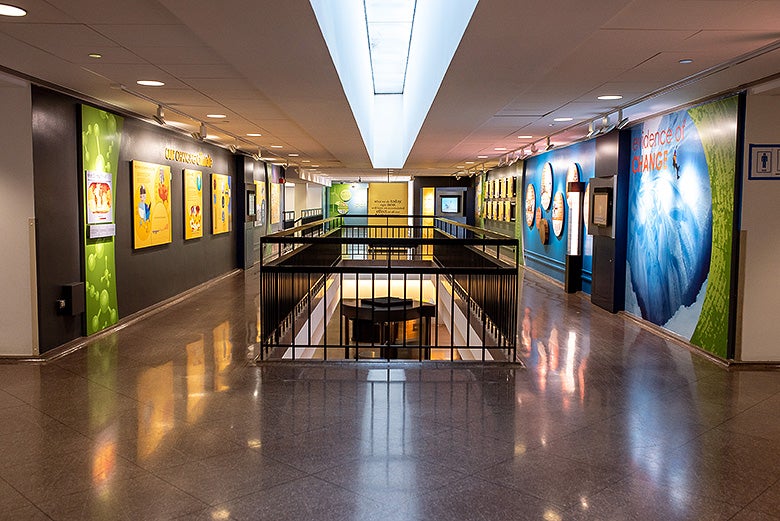 View of the entire climate exhibit