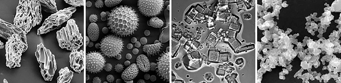 This is four images of of aerosols taken with a scanning electron microscope: ash, pollen, sea salt, and soot. 