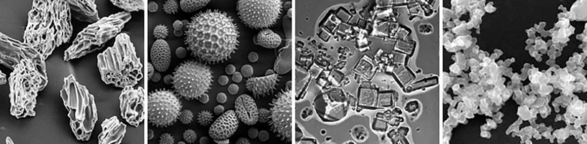 This is four images of of aerosols taken with a scanning electron microscope: ash, pollen, sea salt, and soot. 