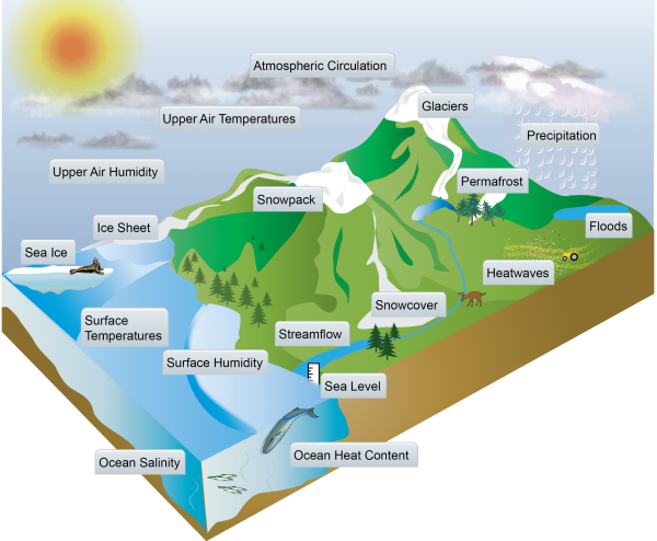 Блок-схема, показывающая примеры многих аспектов климатической системы, в которых изменения были формально приписаны антропогенным выбросам удерживающих тепло газов и частиц в соответствии с научными исследованиями.