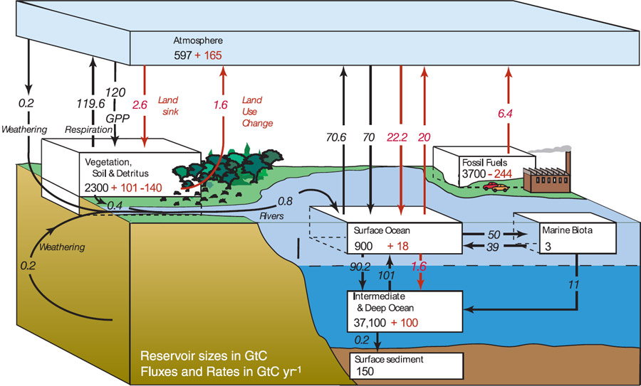 Carbon Cycle Diagram from the IPCC