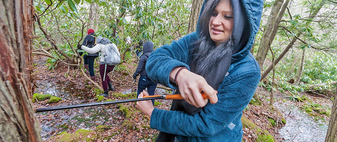 A woman takes a core sample from a tree with a borer