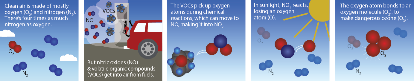 Panel 1: clean air is mostly oxygen and nitrogen.  Panel 2: But nitric oxide and volatile organic compounds get into air from fuels. Panel 3: The VOCs pick up oxygen during chemical reactions, which make nitric oxide into nitrogen dioxide. Panel 4: In sunlight, nitrogen dioxide reacts, losing an oxygen atom. Panel 5: the oxygen atom bonds to an oxygen molecule to make dangerous ozone.