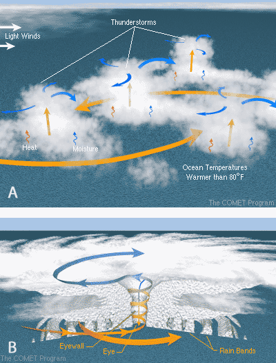 Diagram of how hurricanes form