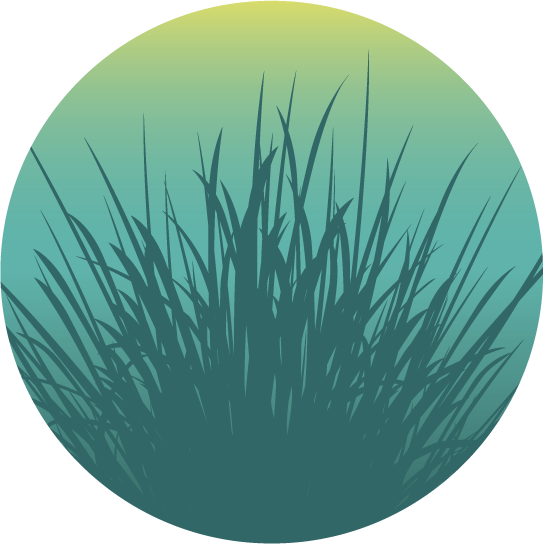 An icon of marsh grasses