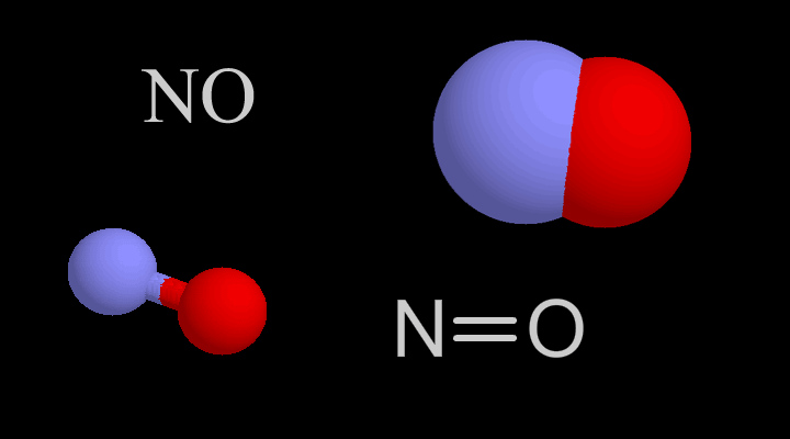 Nitric oxide molecule