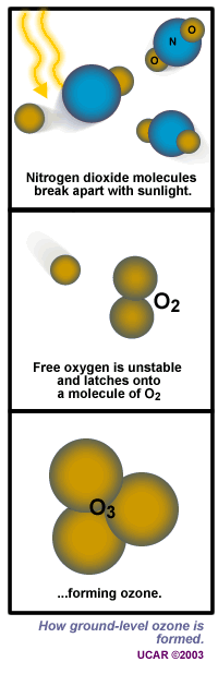 Diagram of how ground-level ozone is formed. Nitrogen dioxide molecules break apart with sunlight. Free oxygen is unstable and latches onto a molecule of O2, forming ozone