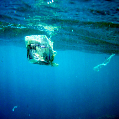 This is an image of a plastic bag floating in the ocean waters.