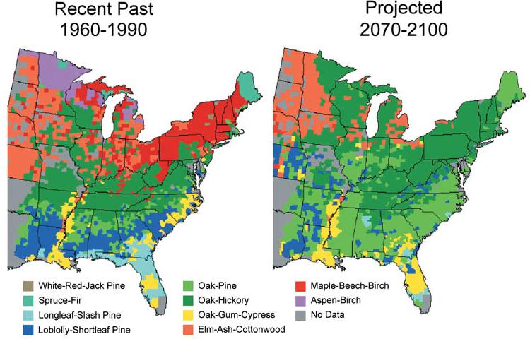 There are two maps of the eastern half of the US; one map shows forest type distribution from 1960-1990 with Maple-Beech-Birch forests dominant in the north and a mix of Oak-Hickory, Loblolly-Shortleaf Pine, and others dominant in the south. The other map shows forest distribution projected for 2070-2100, with Oak-Pine and Oak Hickory dominant across almost the entire region.