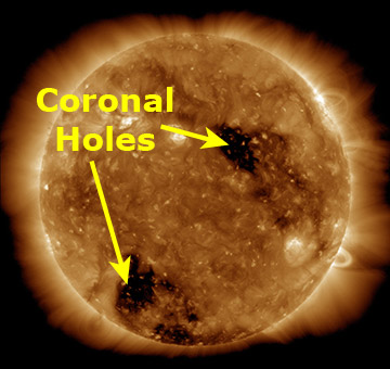 Coronal holes in the Sun's atmosphere from an ultraviolet image taken in January 2011.