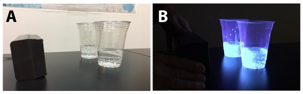 Tonic water and blacklight setup for experiment