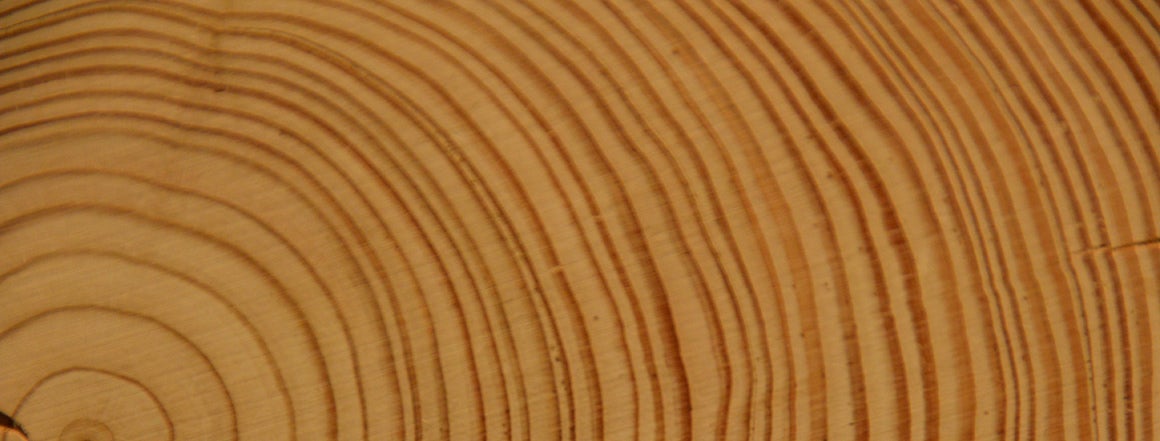 Wood Watch With 75 Annual Growth Rings. 75th Gift Idea From 75 Year Old Tree.  - Etsy