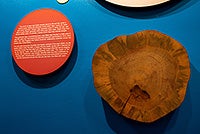 Tree rings