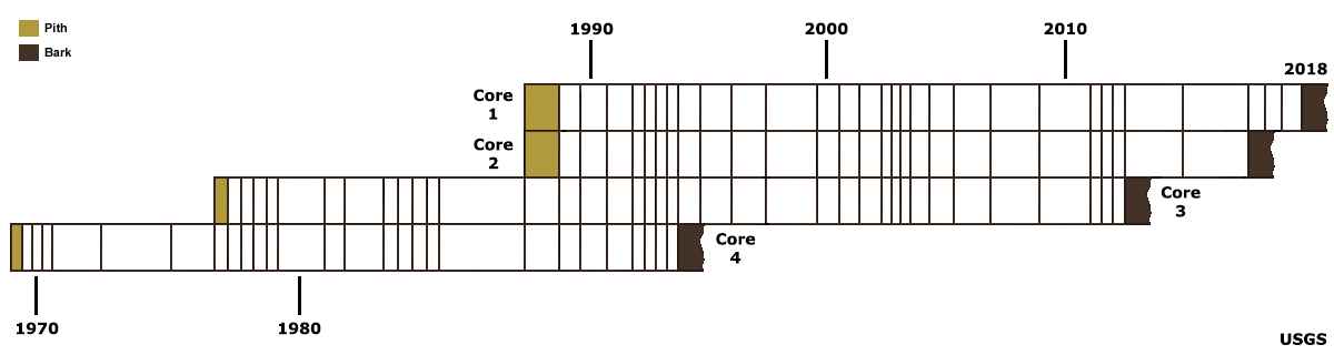 Tree ring cores properly aligned with the years 1990, 2000, 2010, and 2018 indicated.