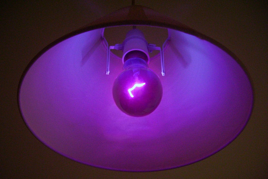 what-is-uv-light-with-pictures