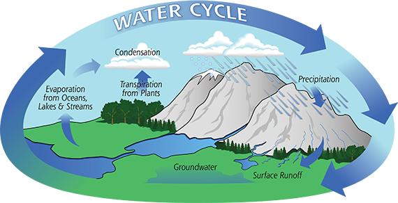 The main processes in the water cycle. Evaporation from oceans, lakes, and streams and transpiration from plants turns into condensation in the air. The water then returns to Earth as precipitation, which enters the groundwater or becomes surface runoff.