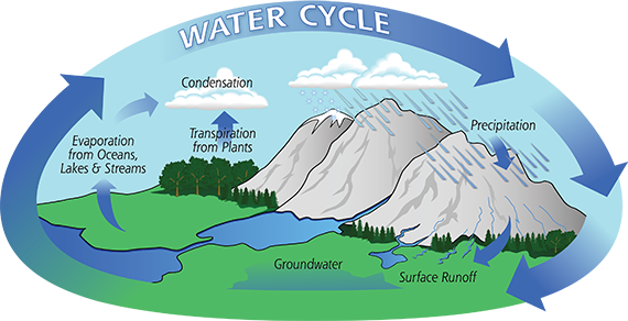 Water cycle - introduction — lesson. Science State Board, Class 9.