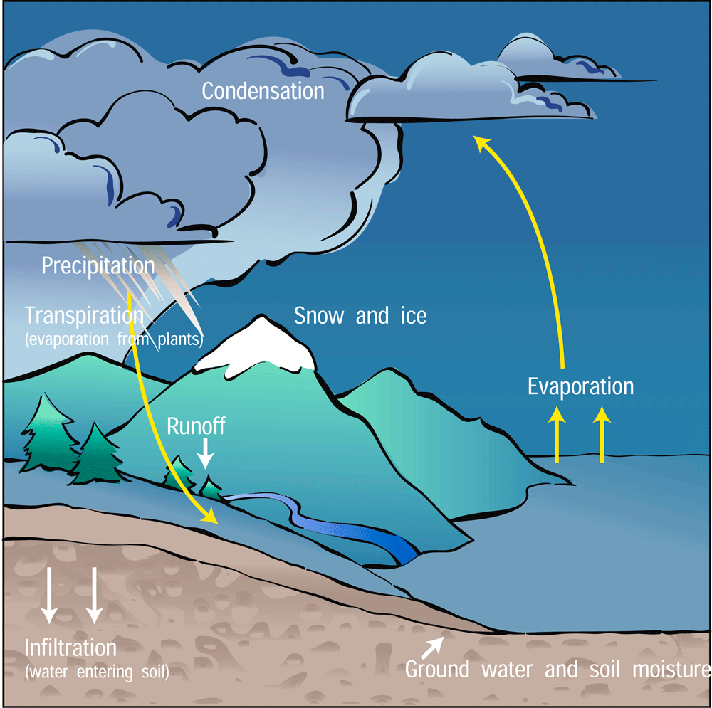 The Water Cycle | Center for Science Education