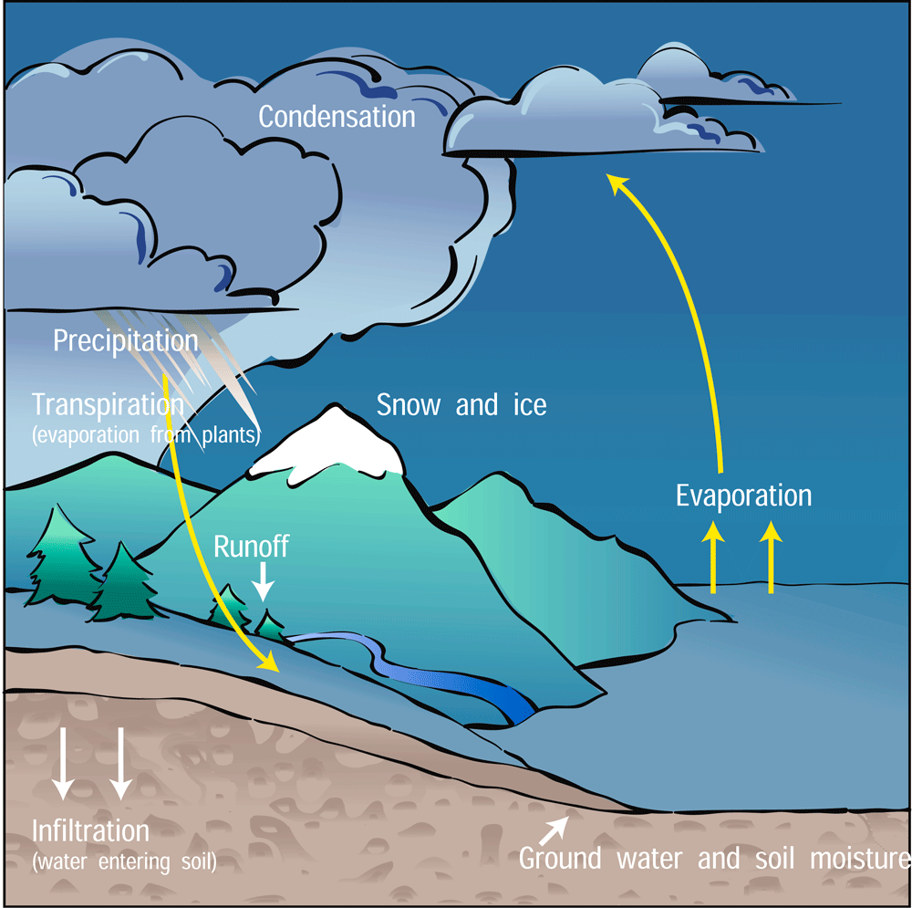 water-cycle-biology-quiz-quizizz