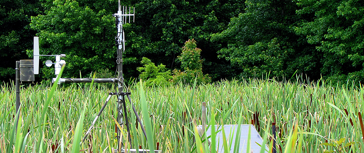 A small monitoring station in the grasses of a wetland with a solar panel that powers the instruments. 