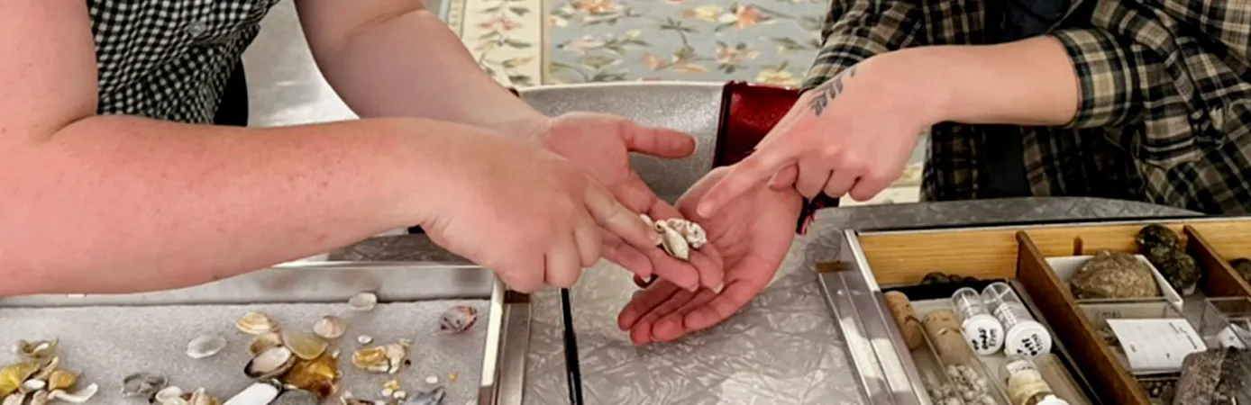 Two women examine fossils while leaning over a table with a collection of specimens.