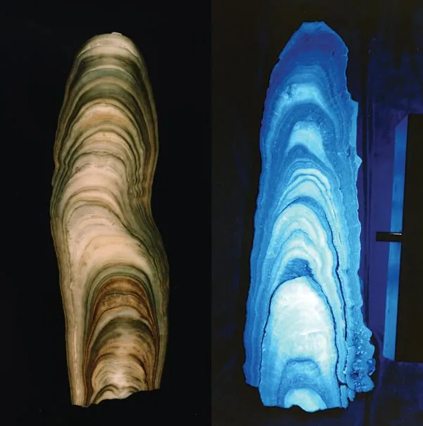 stalagmites in plain and UV light
