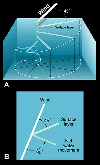 Diagram of an Ekman spiral and Ekman transport.