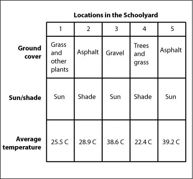 Chart showing five locations in the schoolyard, their ground cover (grass/plants, asphalt, gravel), whether they were in the sun or shade, and the average temperature