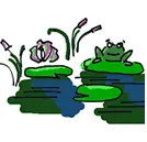 Wetland with lily pads and a frog