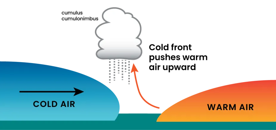 drawing to help represent a cold front where cold air collides with warm air ahead of it and pushes it upward. Cumulus and cumulonimbus clouds can form as a cold moves into an area.