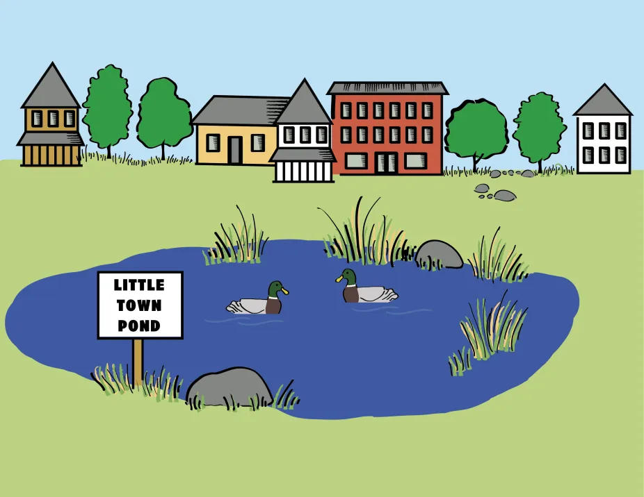 An illustration of a pond surrounded by grassland. Houses and apartment buildings are in the background.