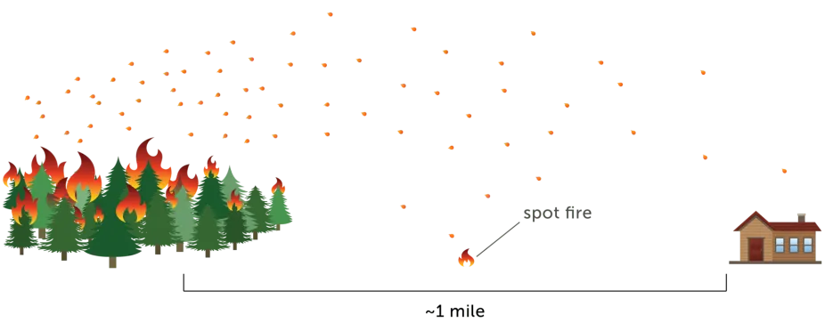 Graphic showing how embers can transport long distances