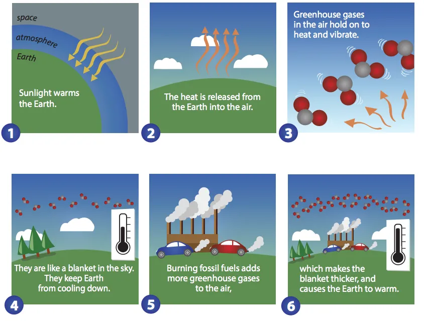 Graphic showing how sunlight warms the Earth, how the heat is released from the Earth surface into the atmosphere,  how greenhouse gases hold onto the heat and vibrate. They are like a blanket in the sky. Burning fossil fiels adds more greenhouse gases to the air which makes the blanket of greenhouse gases thicker and causes climate warming. 