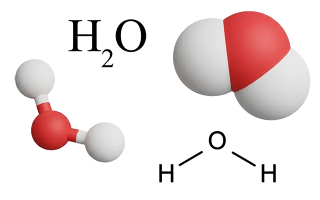 Water molecule