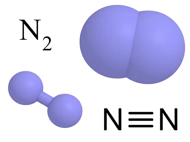 N2 molecule