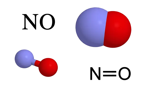 Nitrogen Oxide