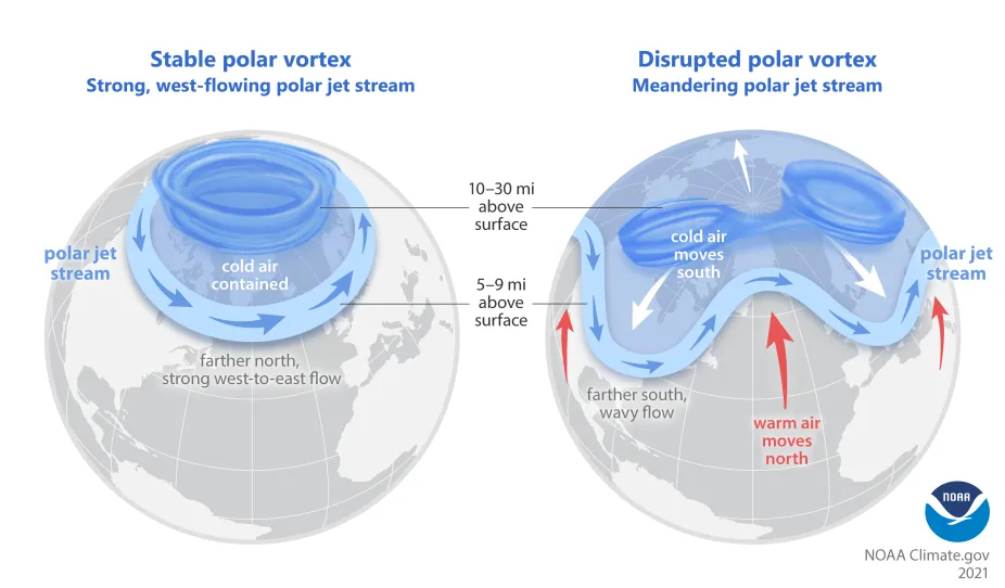 Why Polar Air Keeps Breaking Out Of The Arctic Center For Science   PolarVortex NOAA 2021 .webp