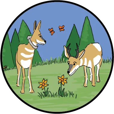 An illustration of two pronghorn with tracking collars.