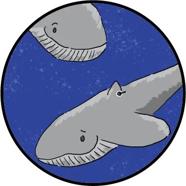 An illustration of two blue whales.