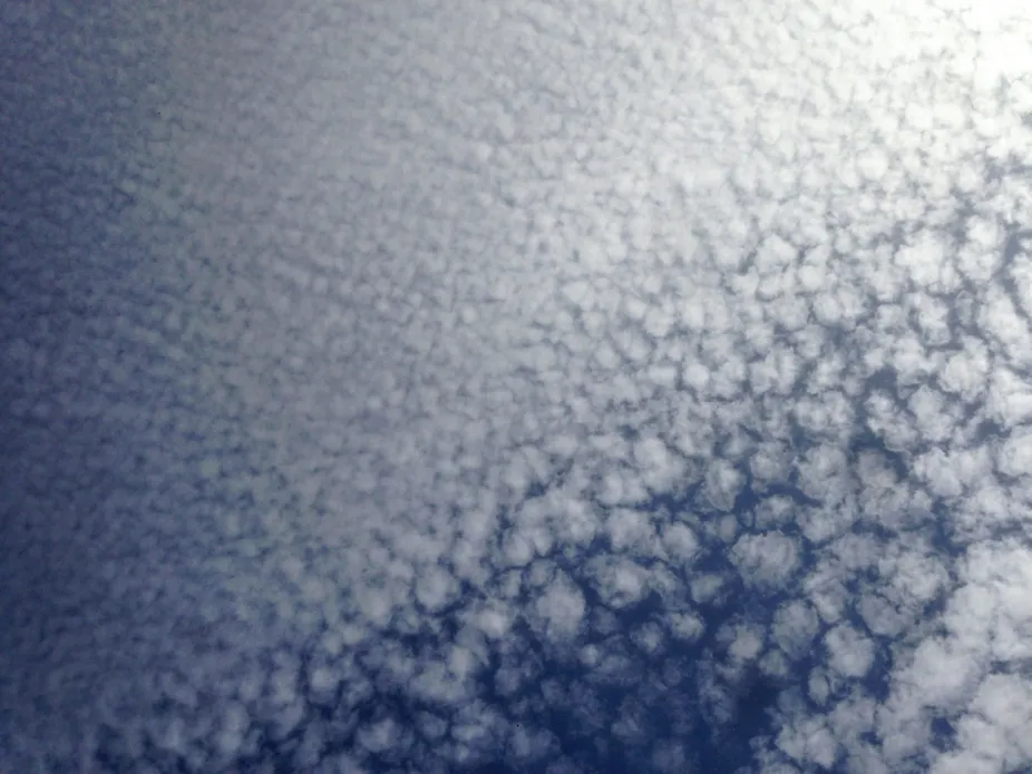 Little puffs of cirrocumulus clouds high in the sky
