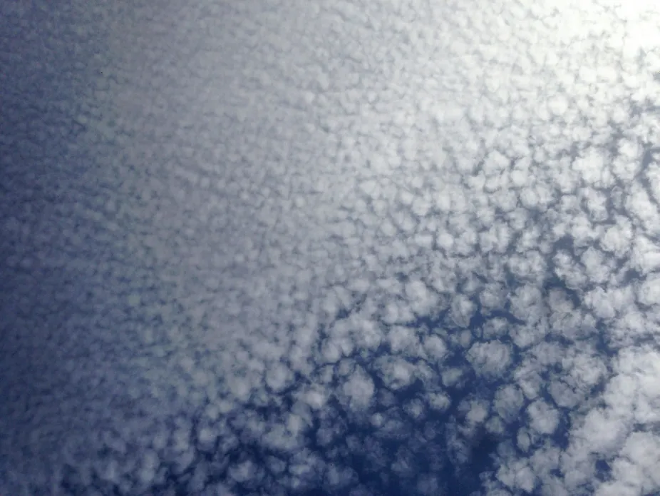 Abstract Fluffy White Cirrus Cotton Clouds Form in the Air of Natural  Phenomena and Cumulus Bright Blue Sky. Beautiful Blue Stock Image - Image  of high, outdoors: 159100045