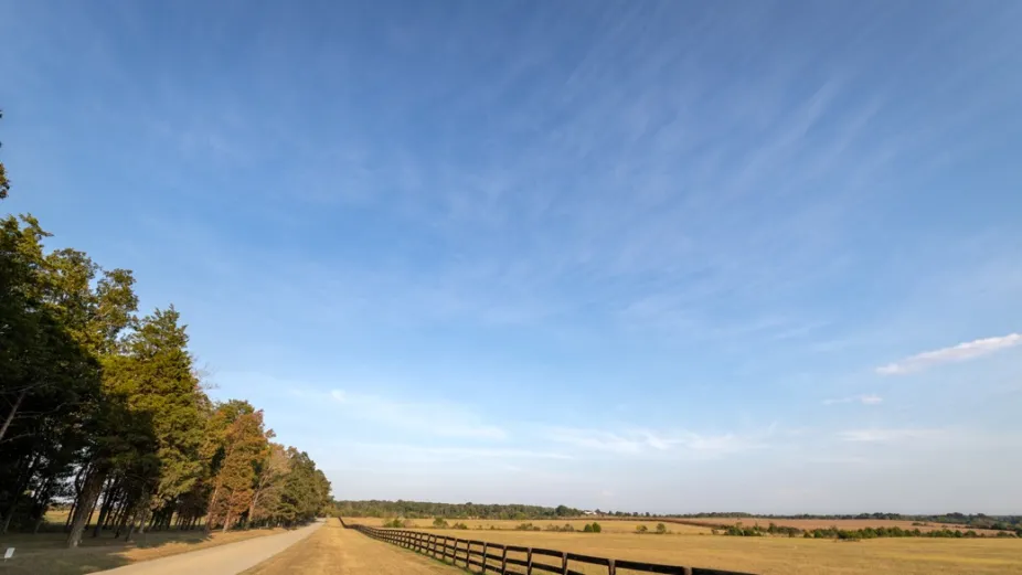 Cirrostratus clouds looking like a thin sheet high in the sky